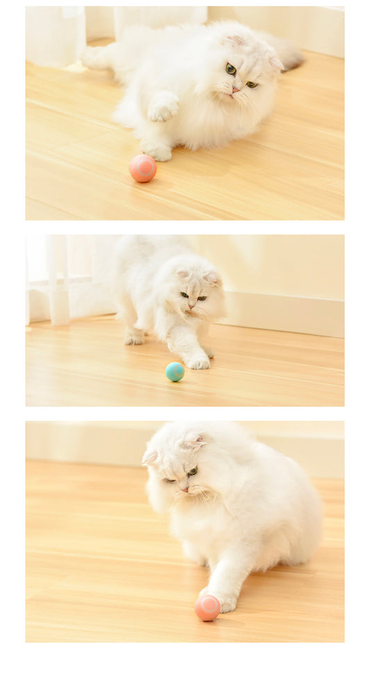 Cat's Smart Gravity Ball: Self-Rolling Tease Toy